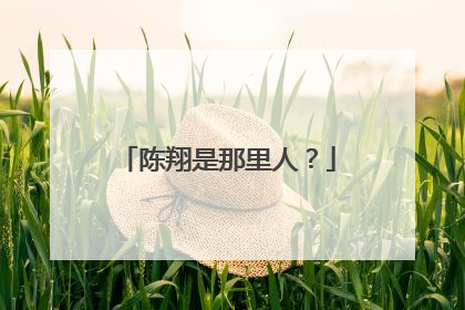 陈翔是那里人？
