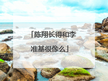 陈翔长得和李准基很像么