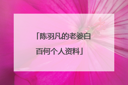 陈羽凡的老婆白百何个人资料