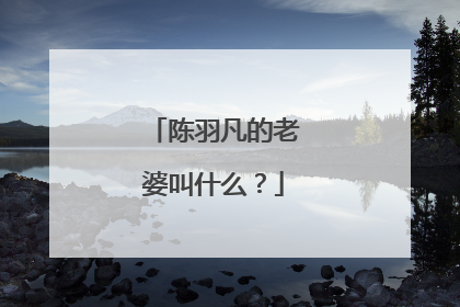陈羽凡的老婆叫什么？