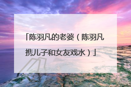 陈羽凡的老婆（陈羽凡携儿子和女友戏水）