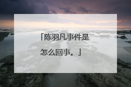 陈羽凡事件是怎么回事。