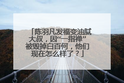 陈羽凡发福变油腻大叔,因“一指禅”被毁掉白百何,他们现在怎么样了?