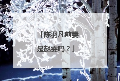 陈羽凡前妻是赵雯吗?