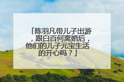 陈羽凡带儿子出游,跟白百何离婚后,他们的儿子元宝生活的开心吗?