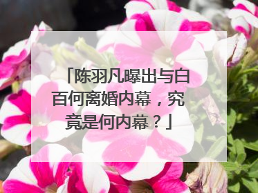 陈羽凡曝出与白百何离婚内幕，究竟是何内幕？