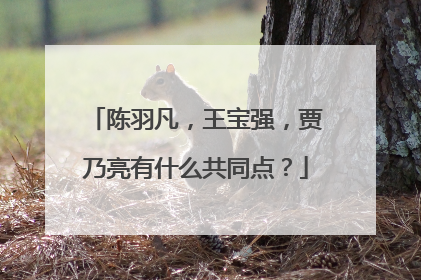 陈羽凡，王宝强，贾乃亮有什么共同点？
