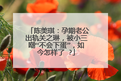 陈美琪：孕期老公出轨关之琳，被小三嘲“不会下蛋”，如今怎样了 ?