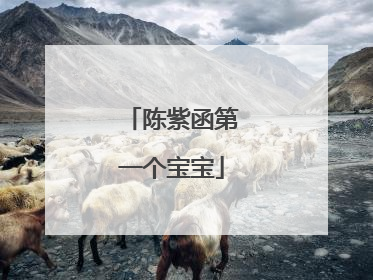 陈紫函第一个宝宝