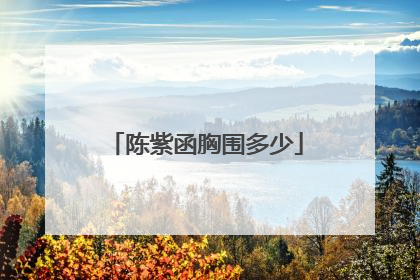 陈紫函胸围多少