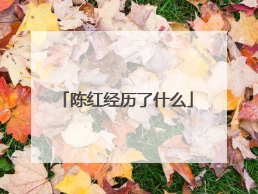 陈红经历了什么