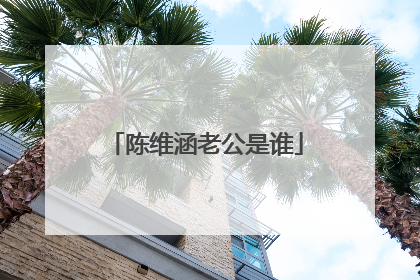 陈维涵老公是谁