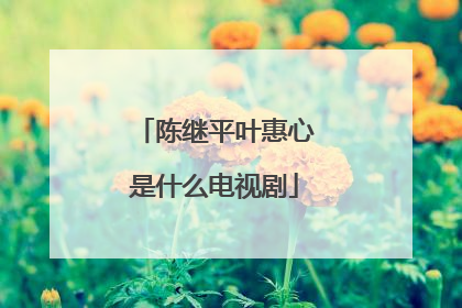 陈继平叶惠心是什么电视剧