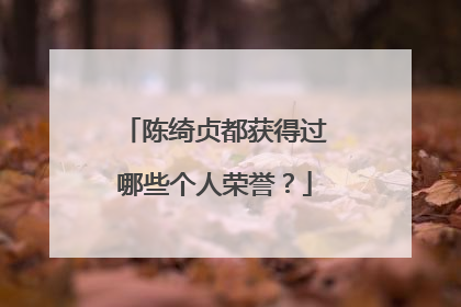 陈绮贞都获得过哪些个人荣誉?