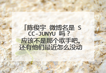 陈俊宇 微博名是 SCC-JUNYU 吗？ 应该不是那个歌手吧。 还有他们最近怎么没动静了？ 分手了吗？