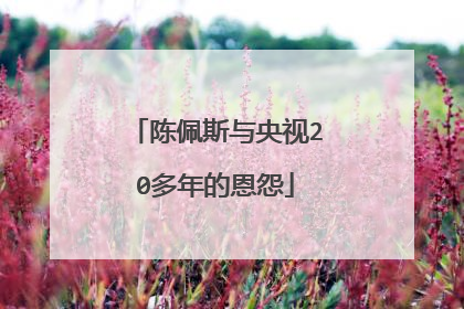 陈佩斯与央视20多年的恩怨