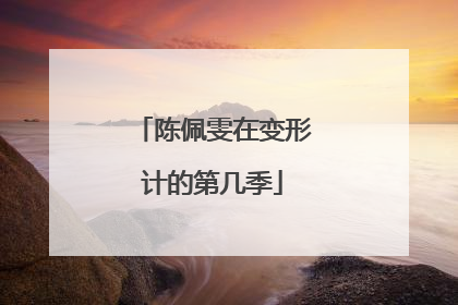 陈佩雯在变形计的第几季