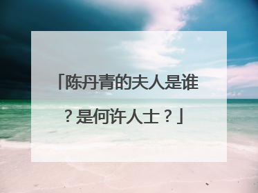 陈丹青的夫人是谁？是何许人士？