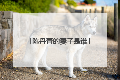 陈丹青的妻子是谁