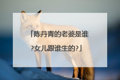 陈丹青的老婆是谁?女儿跟谁生的?