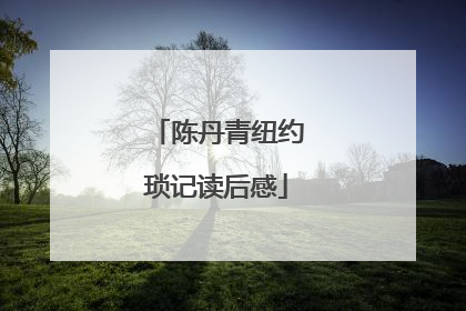 陈丹青纽约琐记读后感
