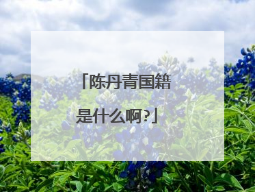 陈丹青国籍是什么啊?