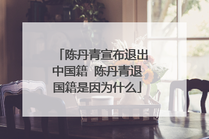 陈丹青宣布退出中国籍 陈丹青退国籍是因为什么
