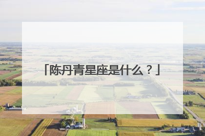 陈丹青星座是什么？