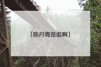 陈丹青是谁啊