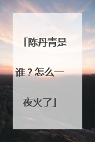 陈丹青是谁?怎么一夜火了
