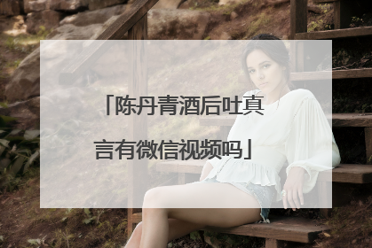 陈丹青酒后吐真言有微信视频吗