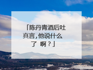 陈丹青酒后吐真言,他说什么了 啊?