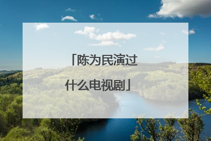 陈为民演过什么电视剧