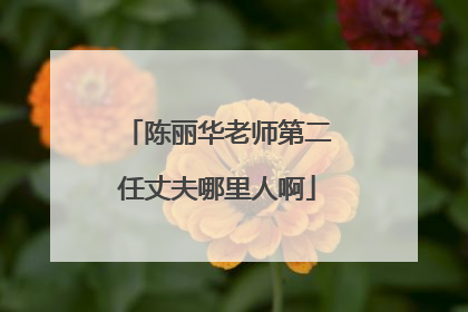 陈丽华老师第二任丈夫哪里人啊