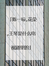 陈一琼,花荣,王琴是什么电视剧里的