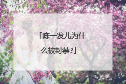 陈一发儿为什么被封禁?