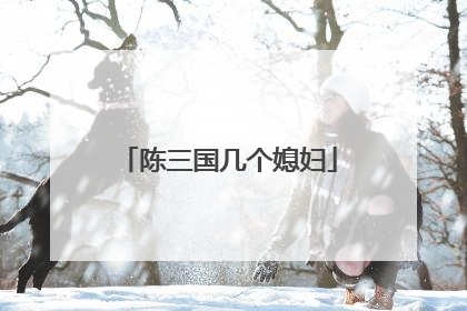 陈三国几个媳妇