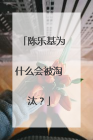 陈乐基为什么会被淘汰?