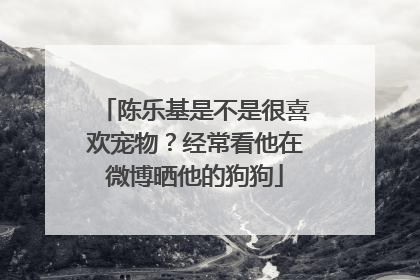 陈乐基是不是很喜欢宠物？经常看他在微博晒他的狗狗