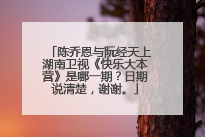 陈乔恩与阮经天上湖南卫视《快乐大本营》是哪一期？日期说清楚，谢谢。