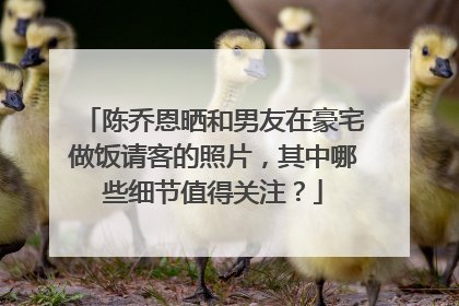 陈乔恩晒和男友在豪宅做饭请客的照片，其中哪些细节值得关注？