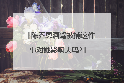 陈乔恩酒驾被捕这件事对她影响大吗?