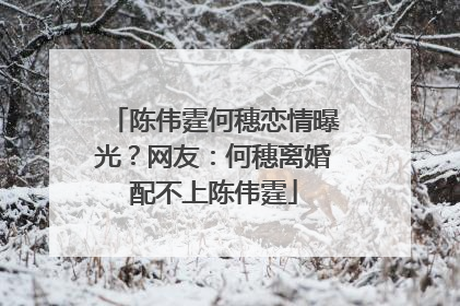 陈伟霆何穗恋情曝光？网友：何穗离婚配不上陈伟霆