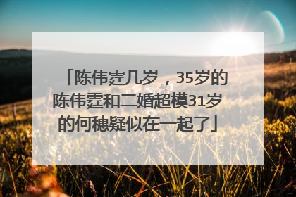 陈伟霆几岁,35岁的陈伟霆和二婚超模31岁的何穗疑似在一起了