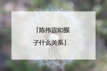 陈伟霆和猴子什么关系