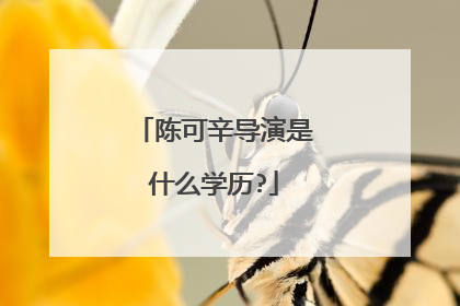 陈可辛导演是什么学历?