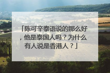 陈可辛泰语说的那么好,他是泰国人吗?为什么有人说是香港人?