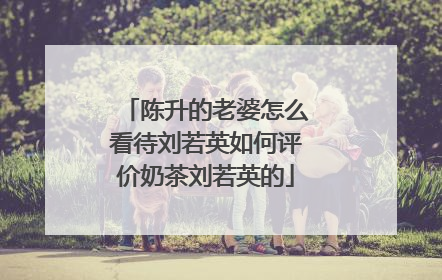 陈升的老婆怎么看待刘若英如何评价奶茶刘若英的