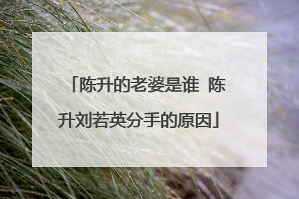 陈升的老婆是谁(陈升的老婆是哪个)