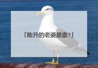 陈升的老婆是谁?